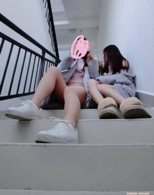 电视剧雪迷宫免费观看_DVD视频大全